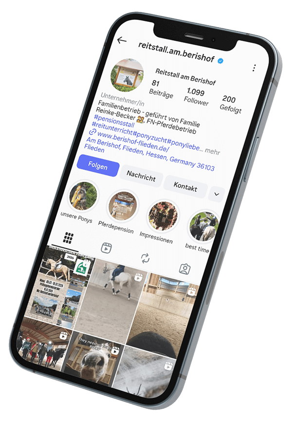 Social Media Mockup des Instagram-Accounts vom Reitstall am Berishof