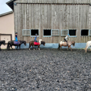 Fünf Kinder auf Ponys auf einem Reitplatz des Berishof in Flieden