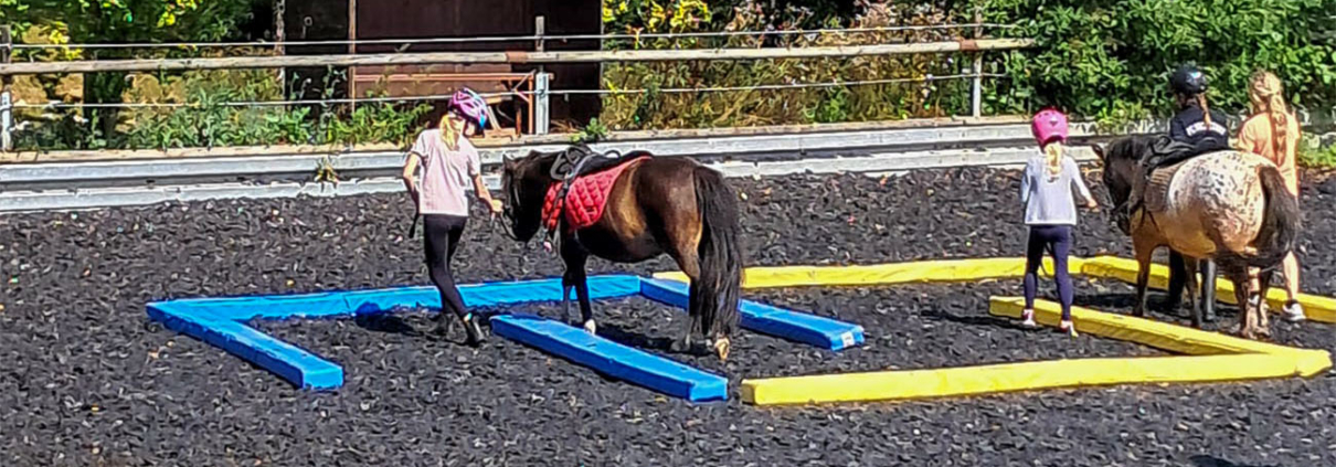 Mehrere Kinder mit Ponys auf dem Reitplatz durchlaufen einen Parcours