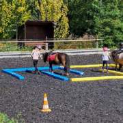 Mehrere Kinder mit Ponys auf dem Reitplatz durchlaufen einen Parcours