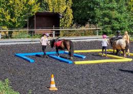Mehrere Kinder mit Ponys auf dem Reitplatz durchlaufen einen Parcours